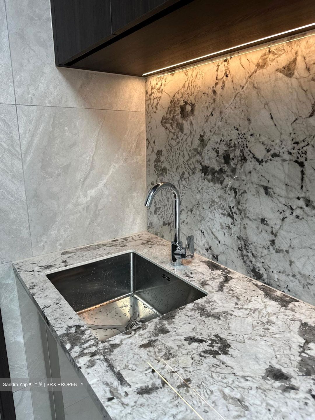 Tembusu Grand (D15), Condominium #576201201